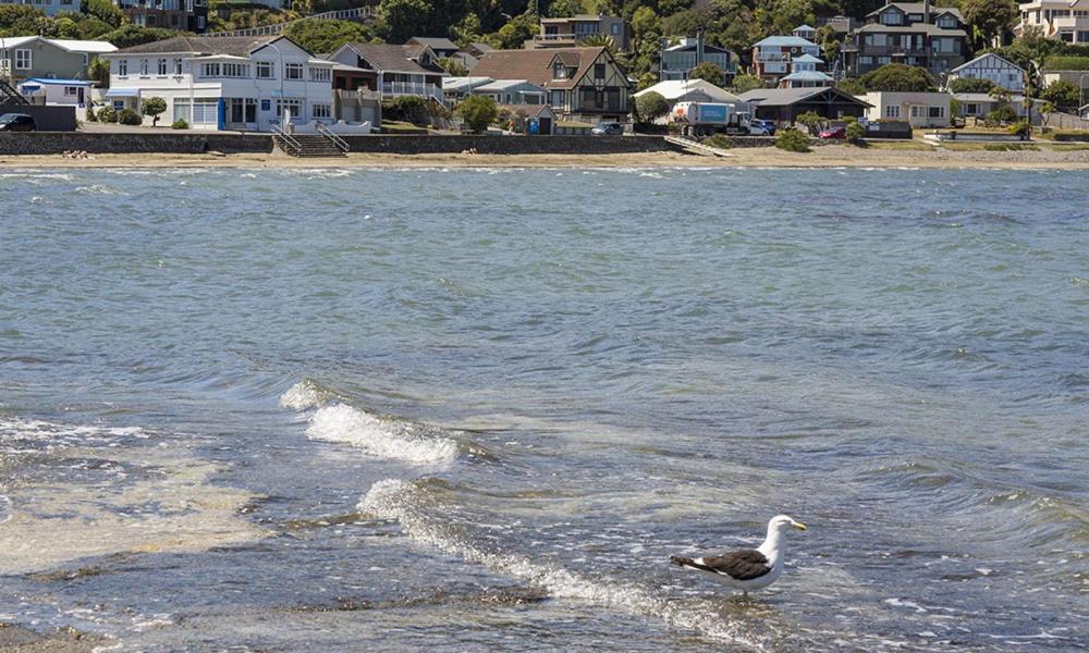 Moana Lodge Plimmerton Εξωτερικό φωτογραφία